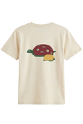 Tortuga Crema